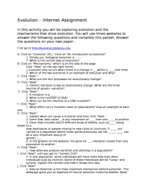 evolution of internet assignment