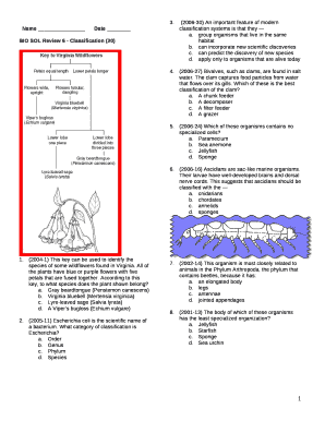 Bio sol review 6 classification 20 answer key