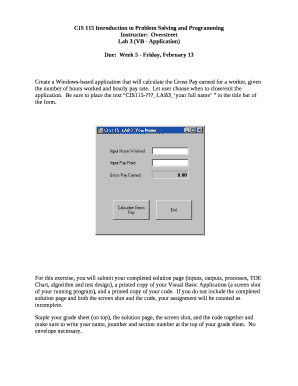 Lab 3 (VB - Application)