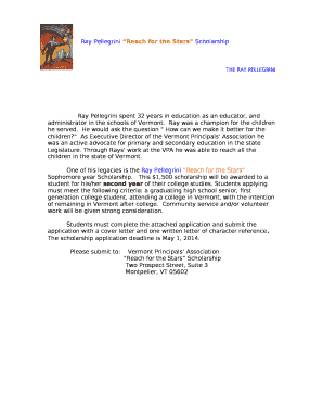 Ray Pellegrini Reach for the Stars ScholarshipTHE RAY PELLEGRINI