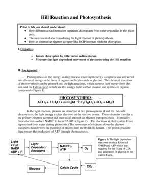 Hill Reaction Photosynthesis Lab