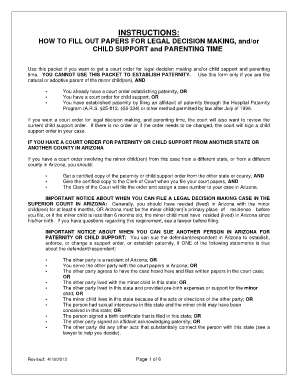 Arizona Legal Decision Making and Child Support Form