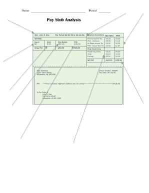 Pay Stub Analysis Form