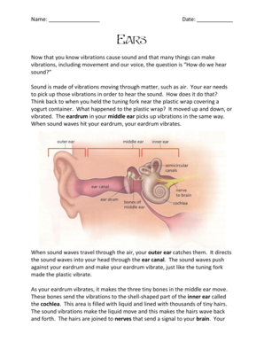 How We Hear Sound Worksheet