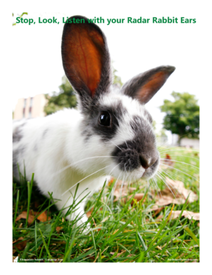 Stop Look Listen with Radar Rabbit Ears