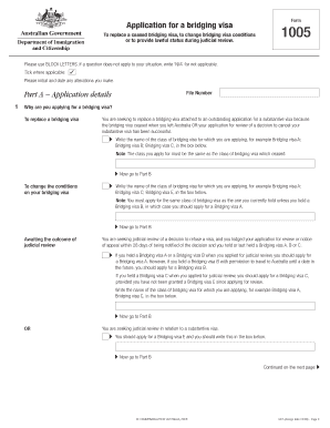 Application for a Bridging Visa