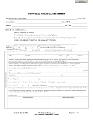 Individual Financial Statement