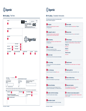 Bill of Lading Form