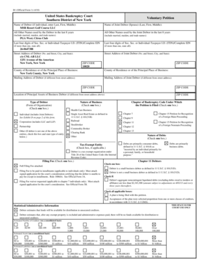 US Bankruptcy Court Voluntary Petition