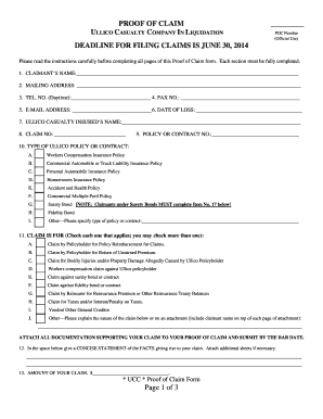 Proof of Claim Form