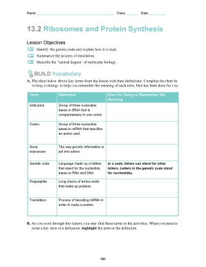 Ribosomes and Protein Synthesis Worksheet