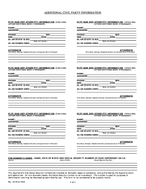 Additional Civil Party Information Form