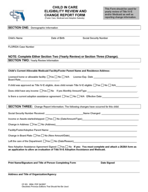 Child in Care Eligibility Review Form