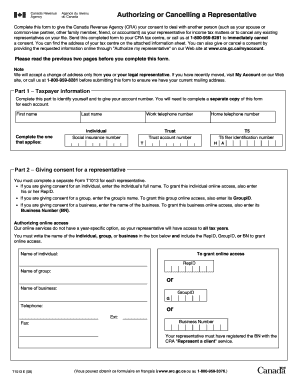 Canada Revenue Agency Representative Authorization Form