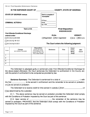 Georgia Misdemeanor Sentence Final Disposition Form