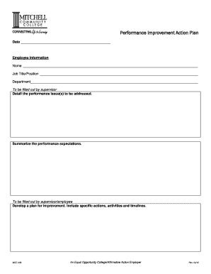 Performance Improvement Action Plan