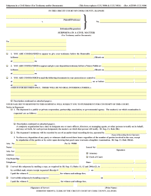 Form preview picture