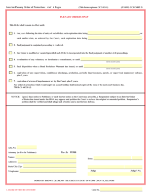 Interim Plenary Order of Protection