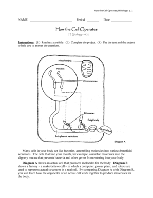 How the Cell Operates