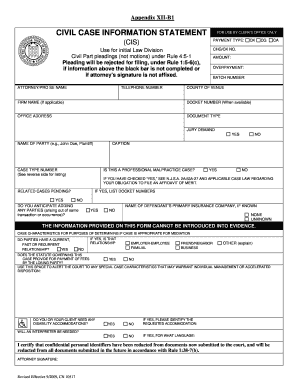 Civil Case Information Statement
