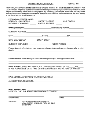 Monthly Probation Report Form