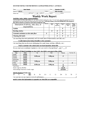 Weekly Work Report