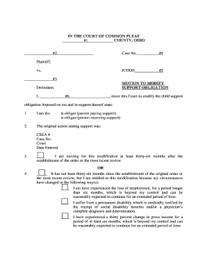 Motion to Modify Child Support