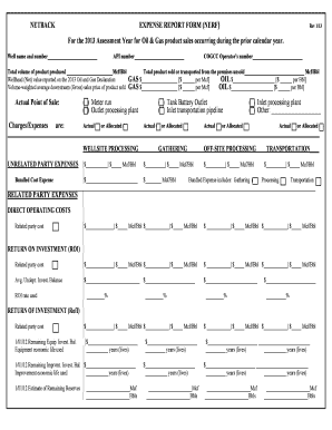 Aa treasurer spreadsheet - NETBACK EXPENSE REPORT FORM (NERF Rev 1/1