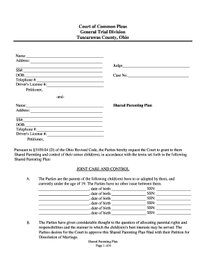 Ohio Shared Parenting Plan