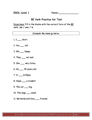 ESOL Level 1 BE Verb Practice Worksheet