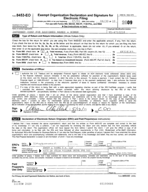 IRS Form 8453-EO Exempt Organization Declaration