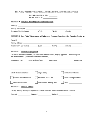 RSA 76:16-a Property Tax Appeal Form