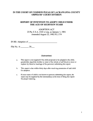 Report of Intention to Adopt Child