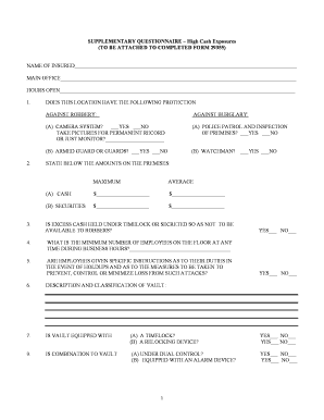 Supplementary Questionnaire – High Cash Exposures