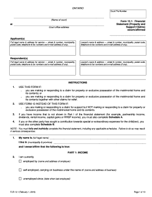 Ontario Form 13.1 Financial Statement