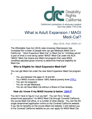 What is Adult Expansion / MAGI
