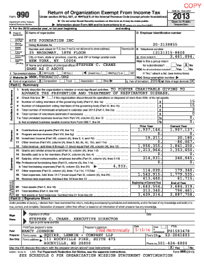 Form 990 2013
