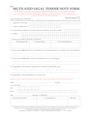 central bank of ireland mn1 form