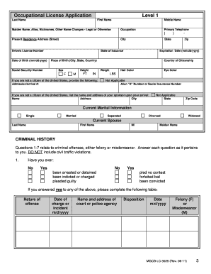 Michigan Occupational License Application