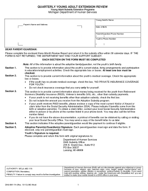 Michigan Young Adult Subsidy Extension Review Form