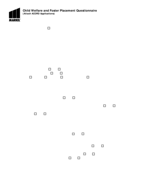 Child Welfare and Foster Placement Questionnaire