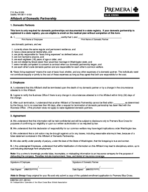 Affidavit of Domestic Partnership