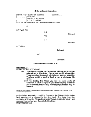 Order for Interim Injunction