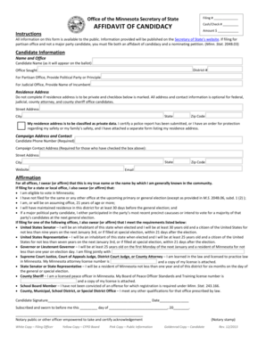 Minnesota Affidavit of Candidacy