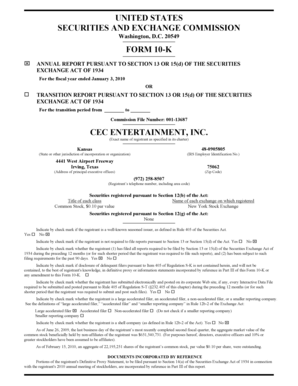 Form 10-K Annual Report