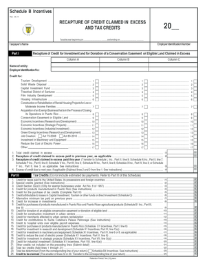 Schedule B Incentives Form