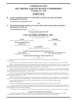 Form 10-K Annual Report