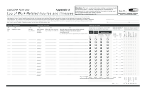 Cal/OSHA Form 300 Log of Work-Related Injuries and Illnesses