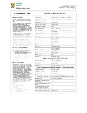 South Africa Employment Equity Form EEA2
