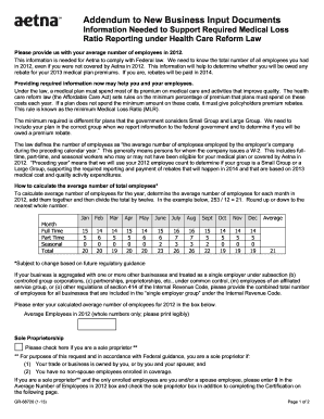 Aetna Medical Loss Ratio Reporting Form
